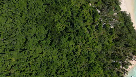 Luftaufnahme-Aus-Der-Vogelperspektive-Von-Ilot-Moro,-Wundervolles-Inselchen-In-Der-Nähe-Von-Isle-Of-Pines,-Neukaledonien