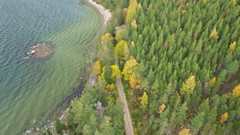 Sweden---On-an-Autumn-Day,-a-Coastal-Landscape-Enveloped-by-Fir-and-Birch-Forests---Aerial-Pan-Left