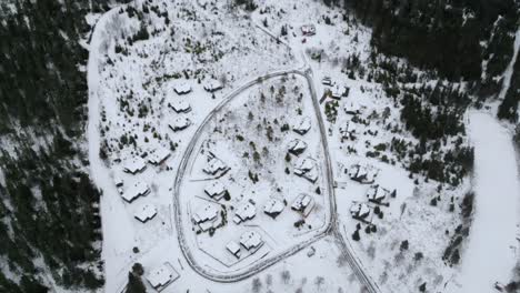 Drone-shot-of-snowy-landscape-ad-forest-
