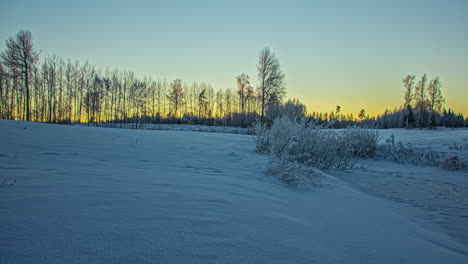 Time-lapse-of-a-colorful-sunset-behind-frosty-trees-on-the-snowy-countryside