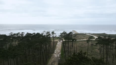 Pine-Path-to-São-Pedro-da-Maceda-Beach,-Ovar-Portugal