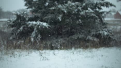 Slow-motion-snow-falls-outside-covering-the-ground-and-trees