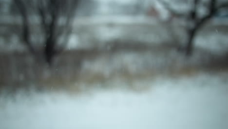 Slow-motion-snow-falls-outside-covering-the-ground-and-trees