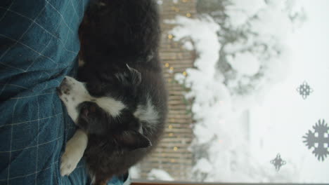 Vertical-video-of-a-dog-chilling-on-a-blanket-on-a-snowy-winter-day