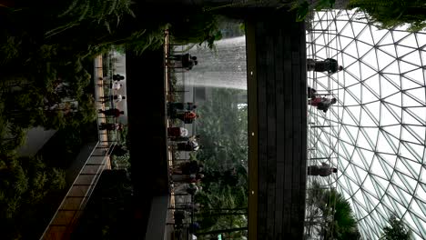 Besucher-Sahen,-Wie-Sie-In-Zeitlupe-Den-Atemberaubenden-Indoor-Wasserfall-Sahen,-Der-Am-Flughafen-Jewel-Changi-Herabstürzte