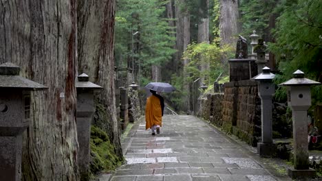 Einsamer-Buddhistischer-Mönch-Mit-Regenschirm,-Der-An-Einem-Regnerischen-Tag-Auf-Dem-Okunoin-Friedhof-Den-Friedhofsweg-Entlang-Geht