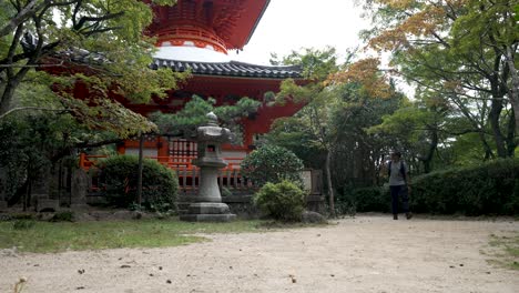 Solo-Male-Traveller-Using-Smartphone-To-Film-Around-Mitaki-Dera-Temple-Surrounded-By-Autumnal-Tree-Foliage