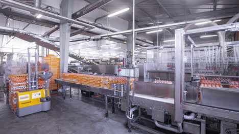 Time-lapse-of-egg-packaging-and-shipping-at-a-poultry-processing-factory