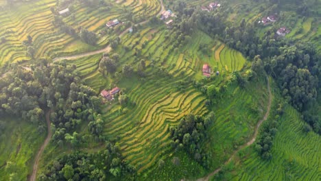 Drone-Flyover-Terraced-Rice-Fields-In-Nepal,-South-Asia