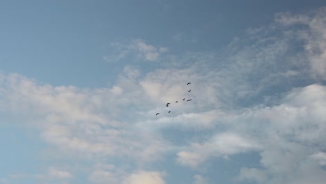 Blick-Nach-Oben-Auf-Die-Silhouette-Von-Vögeln,-Die-Gegen-Leichte-Wolken-Und-Blauen-Himmel-Fliegen