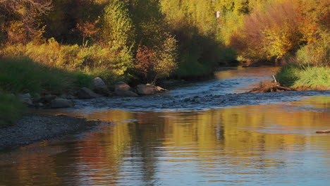 Lebendige-Herbstnaturfarben,-Die-Sich-Bei-Sonnenuntergang-über-Dem-Unberührten-Fluss-Spiegeln