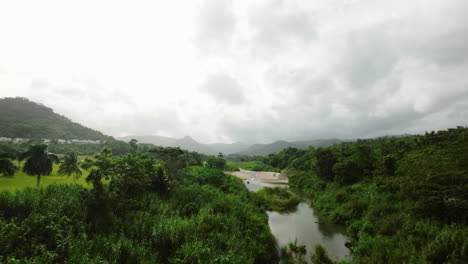 Niedrige-Luftaufnahme-über-Einem-Kleinen-Bach,-Der-Neben-Einem-Dschungel-In-Puerto-Rico-Fließt