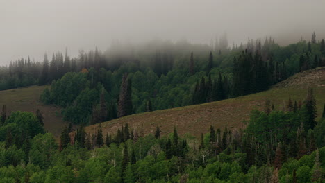 Misty-Mountains-Over-Deciduous-Tree-Forest-During-Sunrise