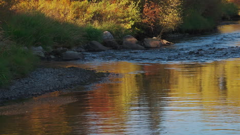 Zeitlupe-Eines-Flusses,-Der-Bei-Sonnenuntergang-Im-Herbstwald-Rauscht