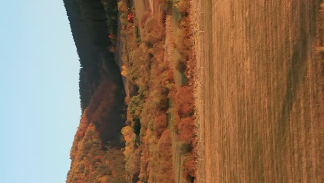 Golden-fields,-trees-in-vibrant-autumn-color-in-scenic-valley,-vertical-aerial-view