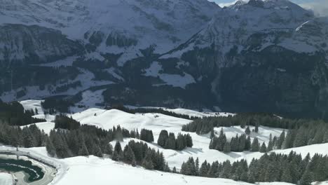 Drohnenaufnahme-Kippt-Von-Der-Fokussierung-Auf-Die-Berge,-Die-Sich-Die-Schneebedeckten-Hänge-Hinunterbewegen,-Und-Die-Kieferngruppe-Im-Gebirgstal-In-Engelberg,-In-Brunni,-Schweiz