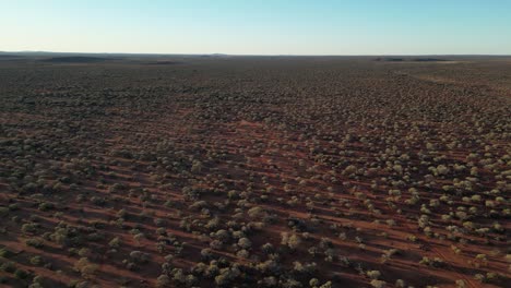 Australian-desert-outback-at-sunset,-Western-Australia