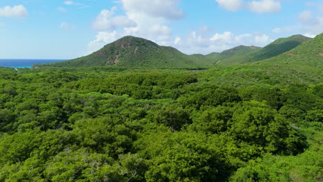 Drone-dolly-above-lush-tropical-forested-area-of-Westpunt-Curacao