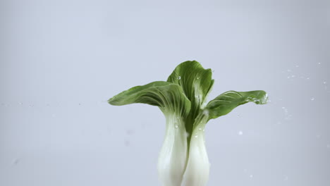 Pak-Choi-spinning-with-water