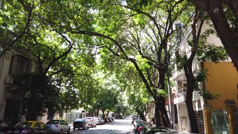 Paisaje-Panorámico-Con-Frondosos-árboles-Y-Vegetación-En-Las-Calles-De-La-Ciudad-De-Buenos-Aires-Barrio-De-Palermo