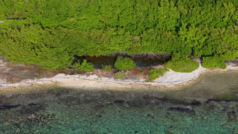 Kristallklares-Karibisches-Meerwasser-Stürzt-Auf-Einen-Mit-Mangroven-Bedeckten-Felsigen-Strand