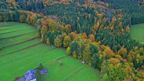 Orange-and-yellow-fall-colors-of-tree-foliage-in-countryside,-Attersee