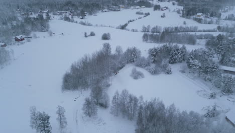 Quitando-Nieve-En-El-Nítido-Paisaje-Invernal-Nórdico