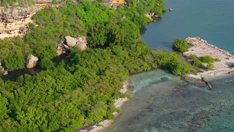 Mangroves-cover-bay-in-Caribbean,-aerial-orbit-at-sunrise