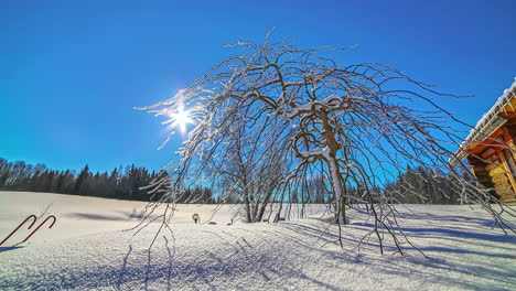 Zeitrafferaufnahme-Der-Sonne,-Die-Sich-An-Einem-Kalten-Wintertag-über-Eine-Schneebedeckte-Landschaft-Neben-Einem-Holzhaus-Bewegt