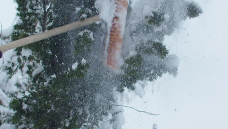 Hitting-tree-branches-with-a-broom-from-below,-a-lot-of-snow-falling-from-the-tree