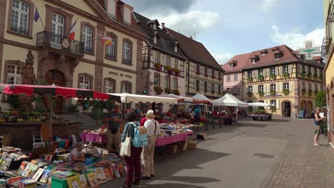 Book-Market-is-Open-in-the-Town-of-Ribeauvill?