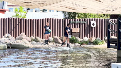 Two-women-in-referee-uniforms-standing-by-water,-interacting-with-seals