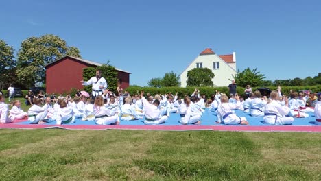 Los-Estudiantes-De-Taekwondo-Son-Examinados-Por-El-Entrenador-Cinturón-Negro-Durante-El-Verano-Sueco.