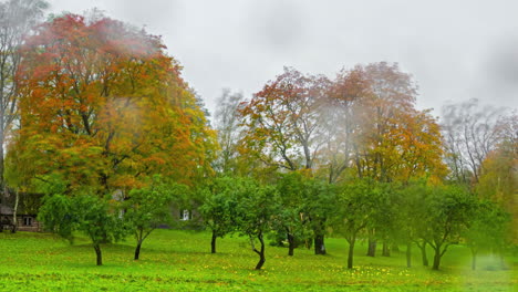 Summer,-autumn,-and-winter-at-a-countryside-homestead---seasonal-time-lapse