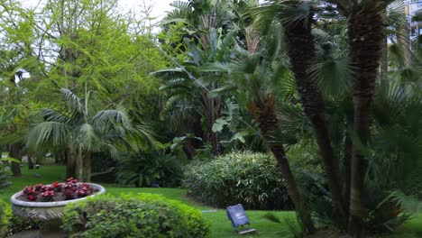 Explore-the-lush-park-at-the-heart-of-Monaco,-Monte-Carlo,-filled-with-verdant-trees-and-palms