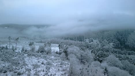 Frostiger-Wintermorgen-Im-Buschland-Mit-Von-Wolken-Und-Nebel-Bedeckten-Hügeln