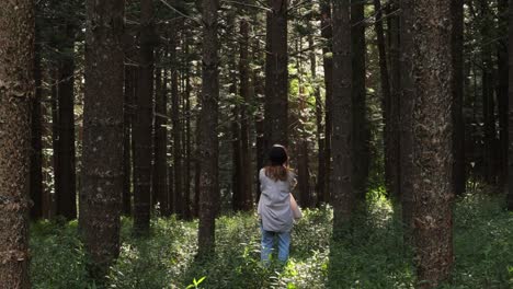 Rücken-Eines-Mädchens-Im-Weißen-Hemd,-Spaziergang-Im-Tropischen-Wald-Zwischen-Großen-Bäumen