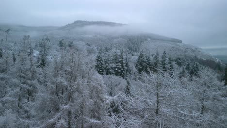 Snow-covered-trees-in-winter-forest-with-mist-fells
