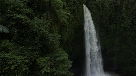 Jungle-environment-with-a-slow-reveal-of-a-powerful-waterfall-in-Bali,-Indonesia
