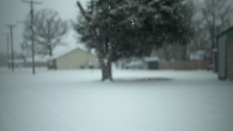 Snowflakes-fall-in-cinematic-slow-motion-on-the-ground-and-trees-during-winter-snow-storm