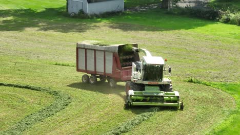A-forage-harvester-collecting-hay-with-a-trailing-wagon-on-a-farm