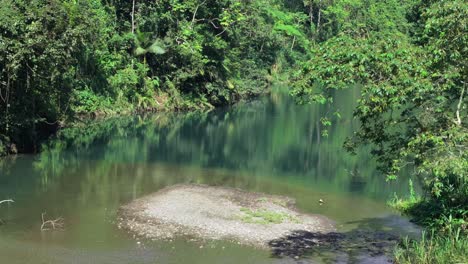 Tropischer-Teich-Im-Exotischen-Dschungel-Regenwald-Mit-Grünem-Laub,-Luftwagen-Nach-Vorne
