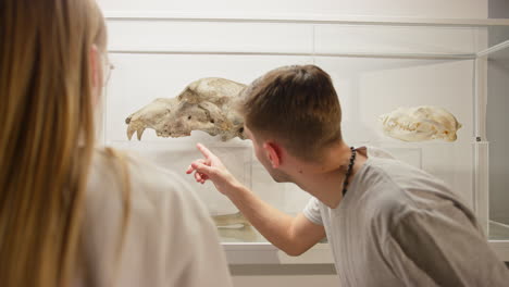 Young-people-observing-animal-skeletons-in-natural-history-museum,-handheld-shot