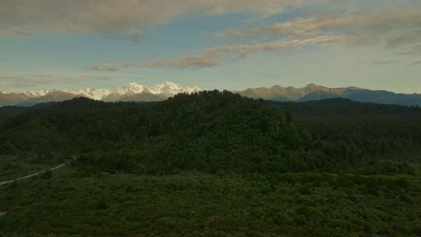 Colina-Verde-Con-Arbusto-Nativo-De-Nueva-Zelanda-Cerca-Del-Glaciar-Fox-En-Un-Día-Nublado