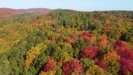 Die-Bäume-Sind-Eine-Mischung-Aus-Immergrünen-Und-Laubabwerfenden-Bäumen,-Wobei-Die-Blätter-Ihre-Farben-In-Rot,-Orange-Und-Grün-ändern