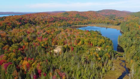 Drone-strafing-over-the-expanse-of-La-Vérendrye-Wildlife-Reserve-located-in-Montréal,-Québec,-in-Canada