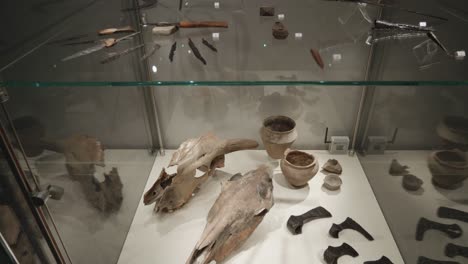 Huesos-Antiguos,-Vasijas-Y-Cráneos-En-Vitrina-En-La-Exposición-En-El-Museo-De-Biskupin,-Polonia