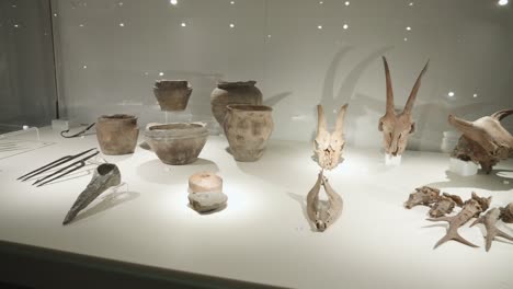Huesos-Antiguos,-Vasijas-Y-Cráneos-En-Vitrina-En-La-Exhibición-En-El-Museo-De-Biskupin,-Polonia