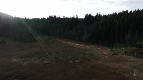 Rural-Field-And-Forest-In-Indre-Fosen,-Norway---Drone-Shot