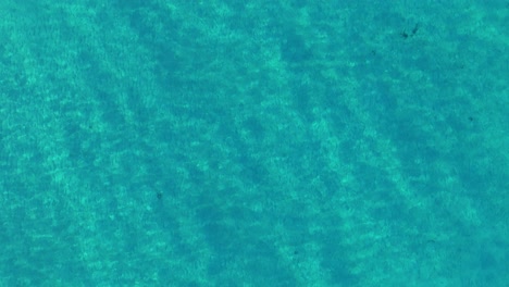 Drone-top-down-zenithal-view-rising-as-sunlight-reflects-in-wave-patterns-against-turquosie-clear-water